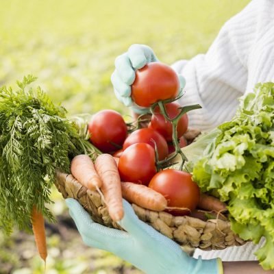 Top Organic Gardening Products for Healthy Plant Growth | Organic Urban Reap